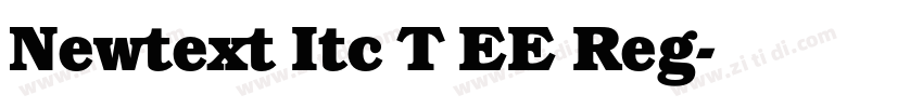 Newtext Itc T EE Reg字体转换